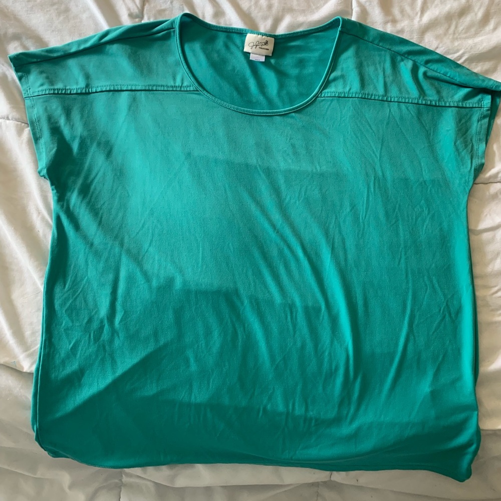 Ladies shirt sleeve blouse.